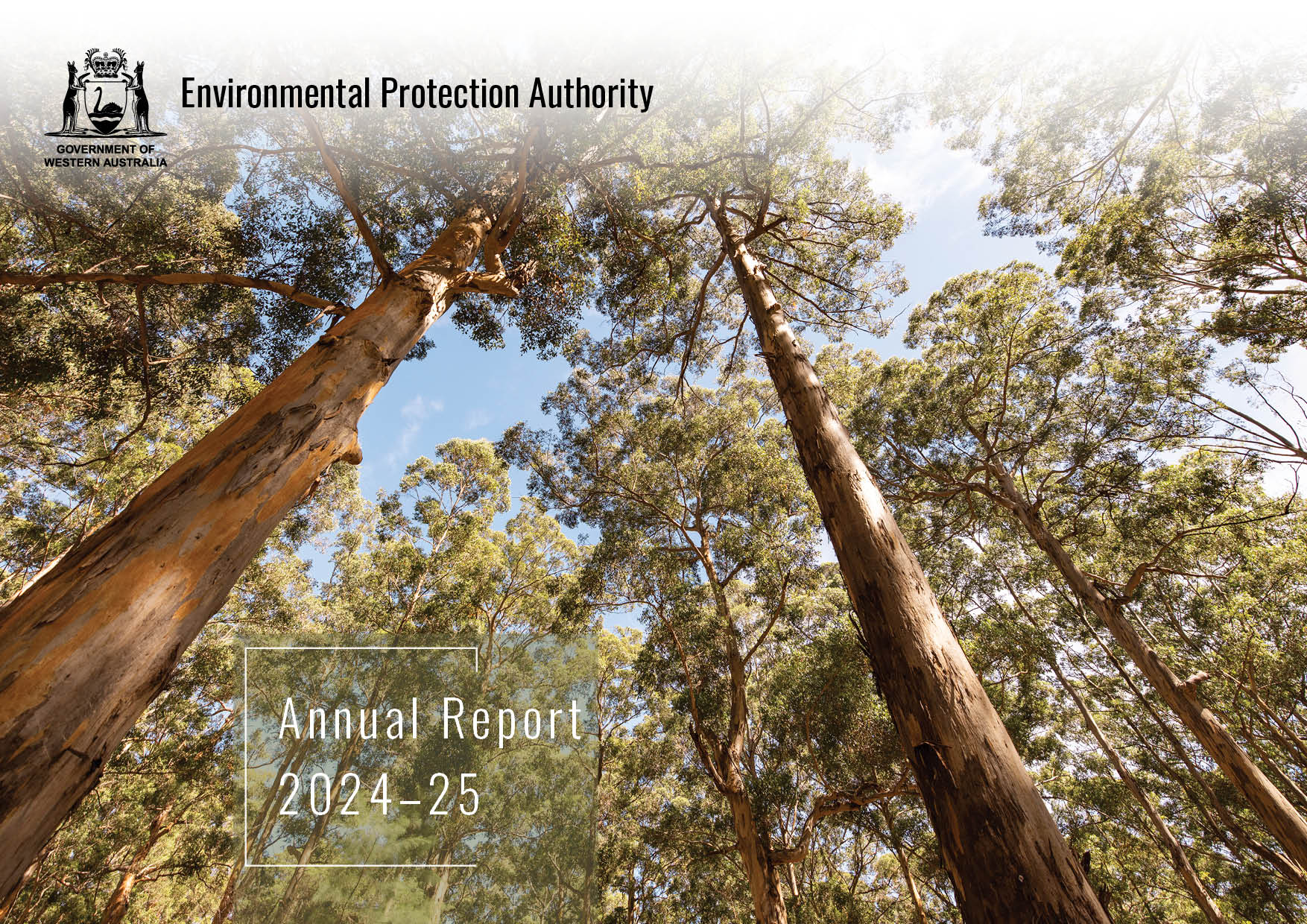 Report highlights independent advice